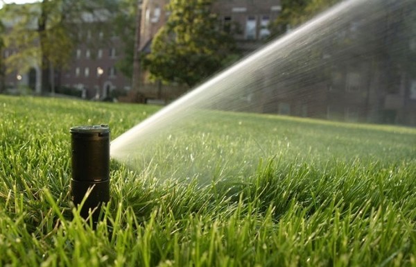 Korting op tuinberegening: sla je slag!
